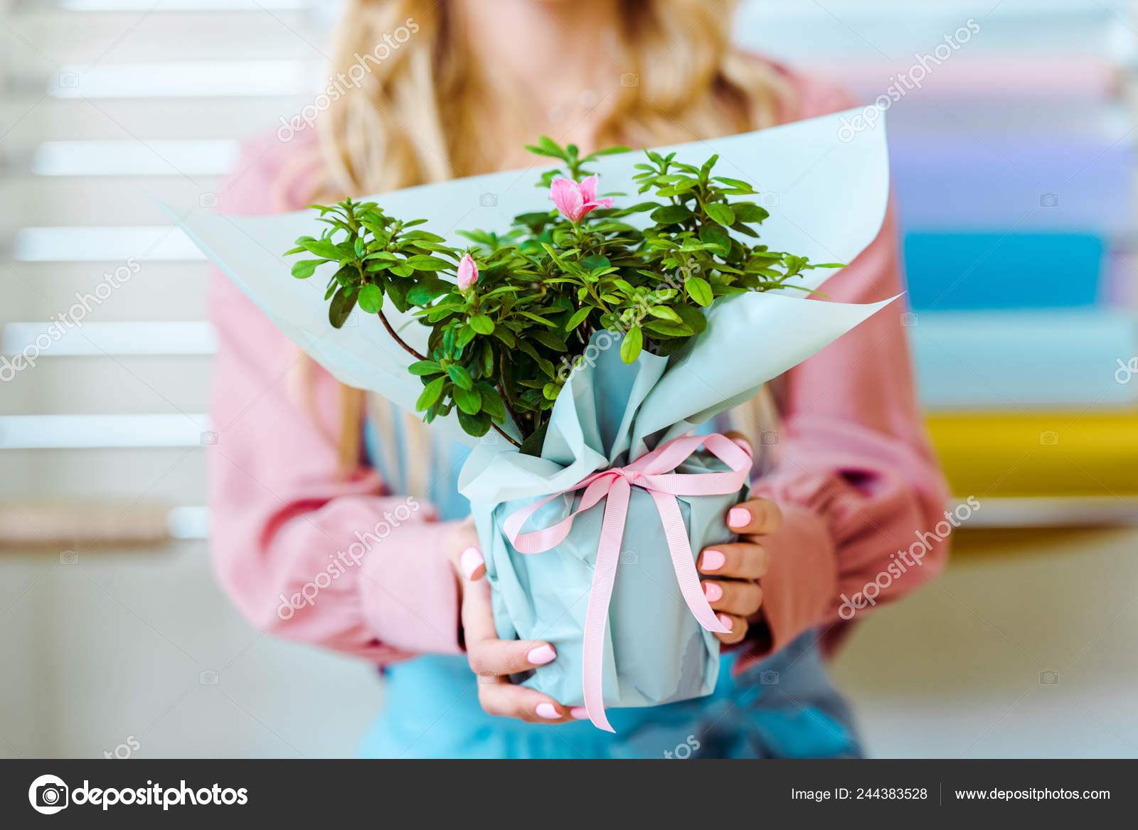Cropped View Woman Holding Flower Bouquet Wrapping Paper Pink